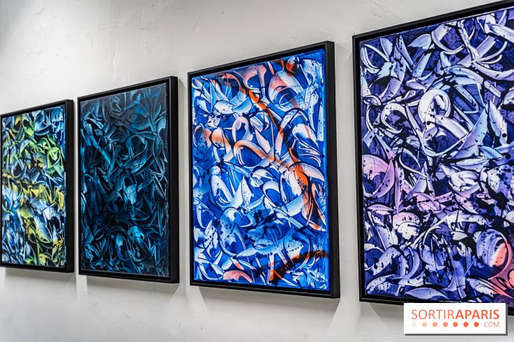 Le Festival Street-art de la Poste du Louvre 2025, les photos - A7C00835