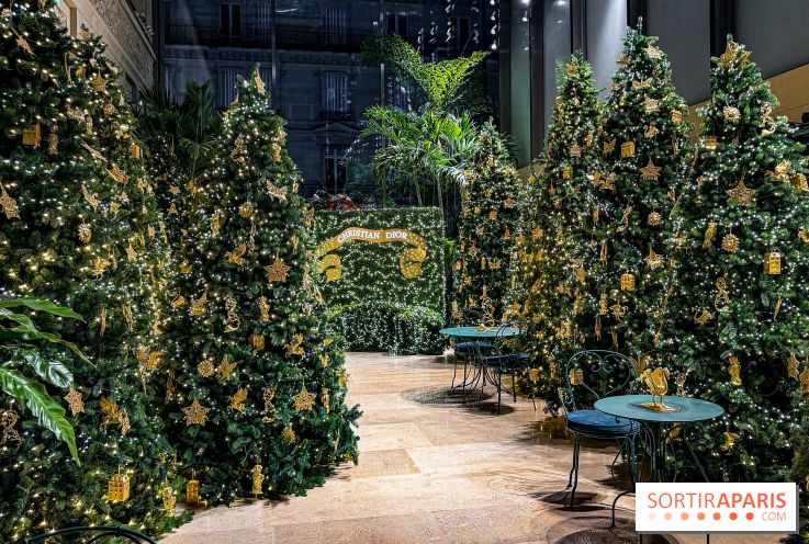 Noël 2025 Dior 30 Montaigne - IMG 1968
