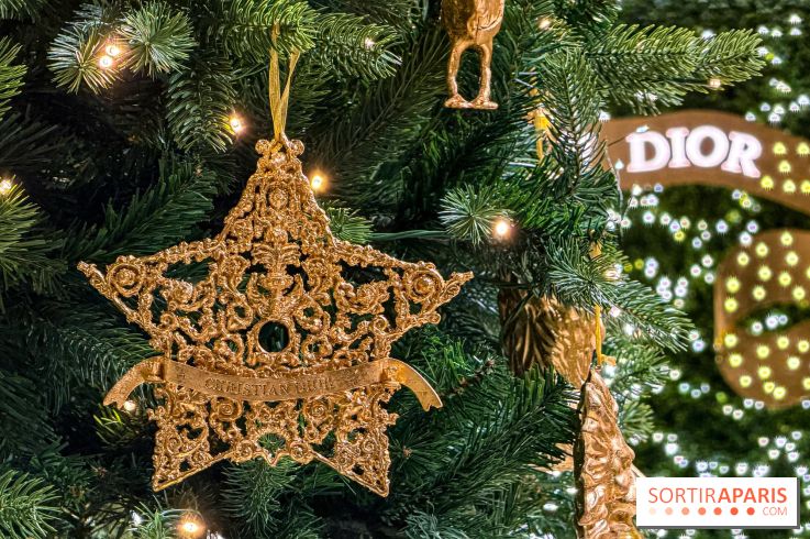 Noël 2025 Dior 30 Montaigne - IMG 1973