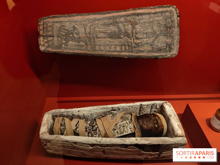 Momies : une exposition insolite et troublante à découvrir au musée de l'Homme - fotor 1763471602237