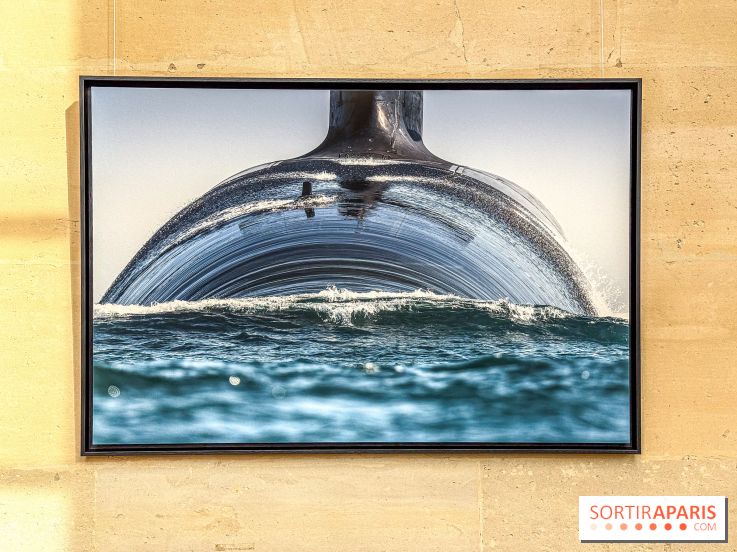 Les Peintres de la Marine : l’exposition dédiée à l’univers maritime à l’Espace Richaud à Versailles