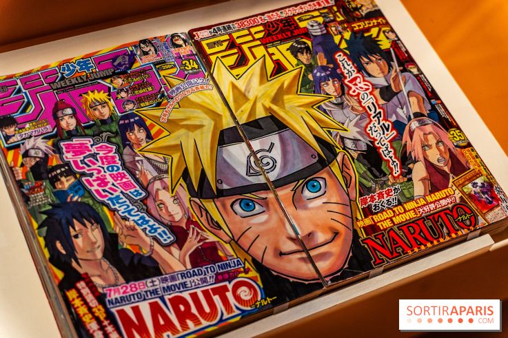 Exposition Manga au Musée Guimet, les photos  - A7C01227