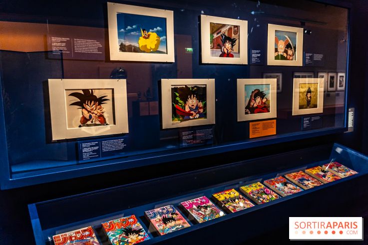 Exposition Manga au Musée Guimet, les photos  - A7C01236