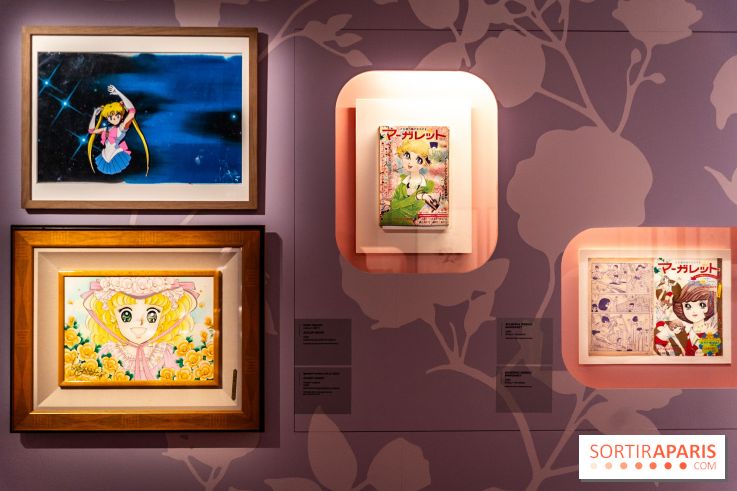 Exposition Manga au Musée Guimet, les photos  - A7C01251