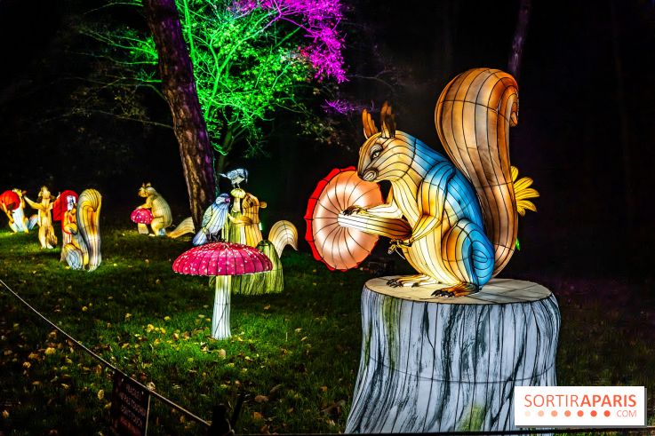 L'Odyssée Lumineuse au Parc Floral 2025, les photos