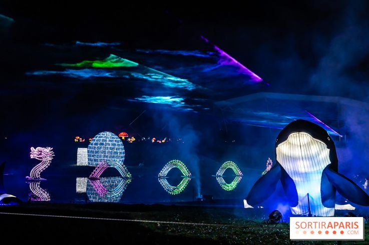 L'Odyssée Lumineuse au Parc Floral 2025, les photos