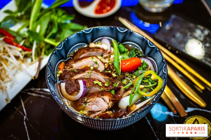 Amour du Vietnam, le restaurant Vietnamien Paris 14e - A7C01594