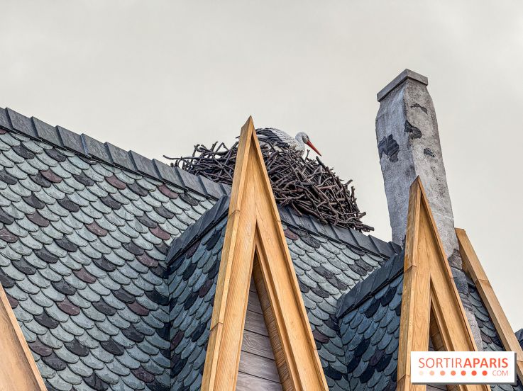 World of Frozen cigogne