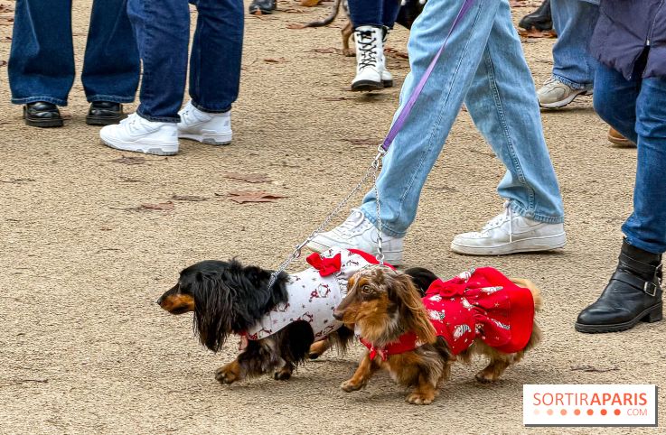 Paris Sausage Walk, la Marche des Teckels 2025