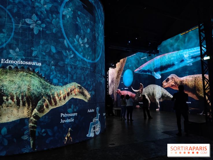 Dinosaures : l'expérience immersive qui nous fait remonter le temps à l'Atelier des Lumières, photos - fotor 1764681104794