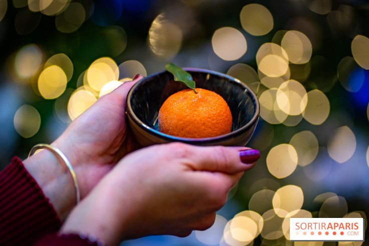 Tea time de Noël du Mandarin Lutetia 2025 par Nicolas Guercio - photos - A7C02102