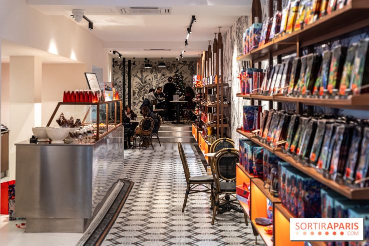 salon de thé chocolatier Chapon Saint-Germain-En-Laye - Yvelines:  chocolat chaud et gourmandises - photos - A7C01859