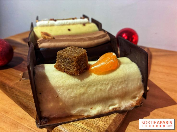 Bûches de Noël végétales de La Mauvaise Herbe - IMG 1589