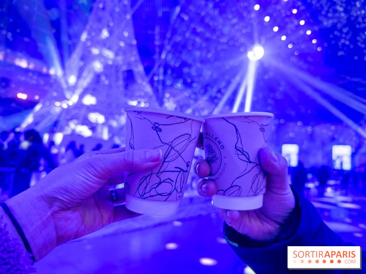 Le Grand Palais des Glaces 2025 - les photos - IMG 8111