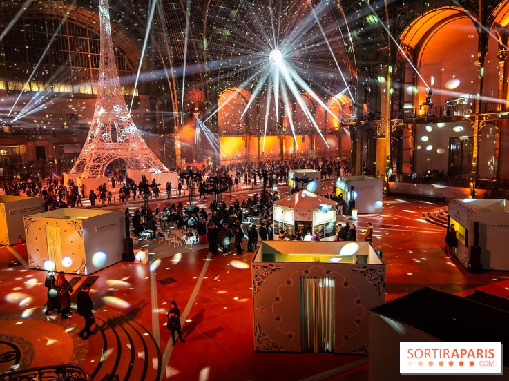 Le Grand Palais des Glaces 2025 - les photos - IMG 8118