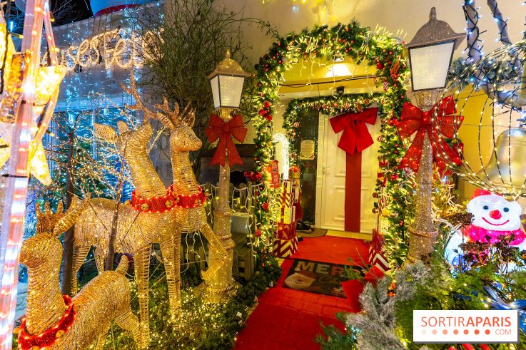 Ce passionné en Essonne transforme son jardin en Village de Noël à visiter gratuitement