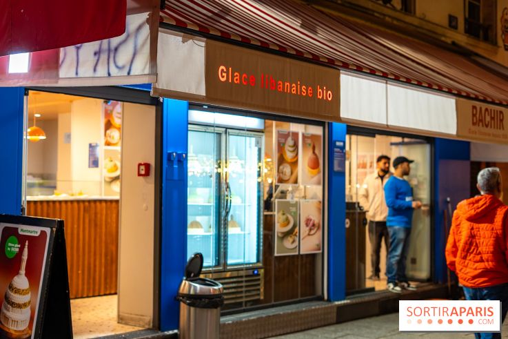 Les bûches de Noël glacées de Bachir spécial dômes parisiens  - A7C03253