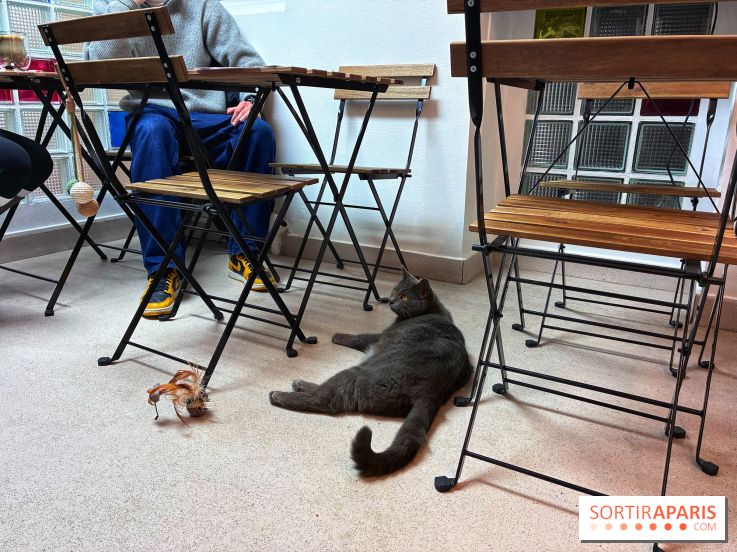 Le Chatelier - IMG 2473