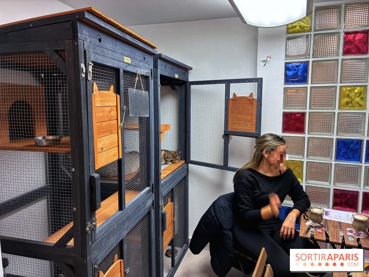 Le Chatelier - IMG 2475