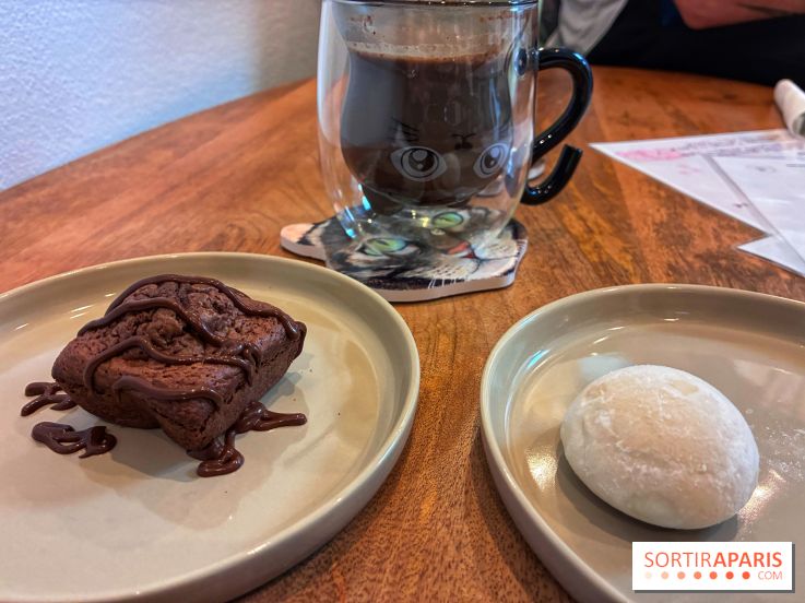 Le Chatelier - IMG 2492