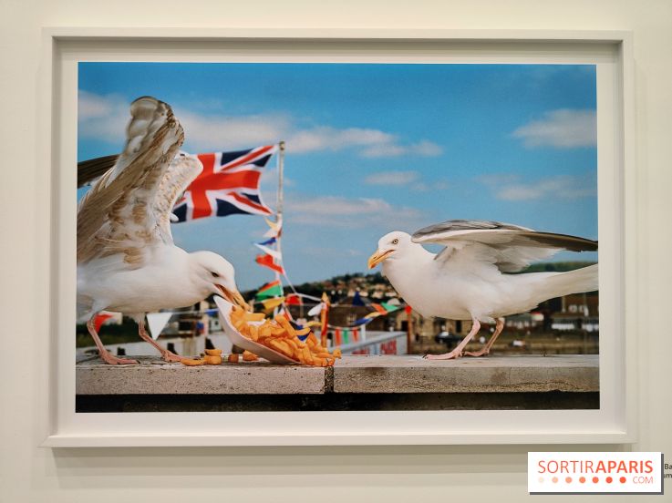 Global Warning : le photographe Martin Parr à l'honneur dans une exposition au Jeu de Paume - fotor 1769689992897
