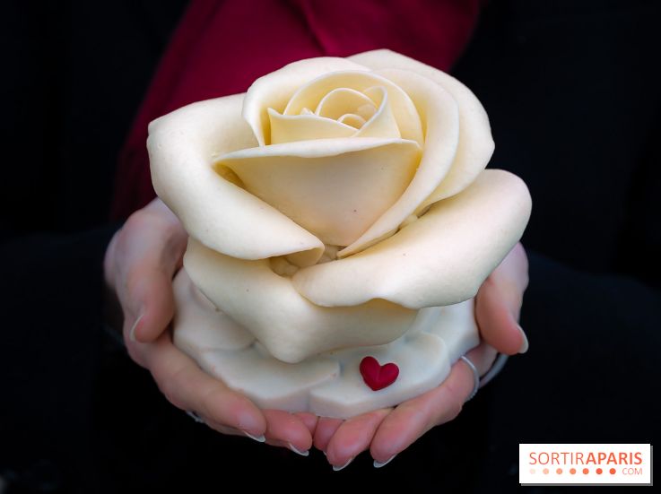 Saint-Valentin 2026 : la boulangerie - chocolaterie Pleincœur célèbre le mois de l'amour - rose