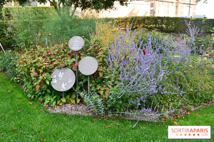 Le jardin des cinq sens à Pontoise, un lieu bucolique et sensoriel !