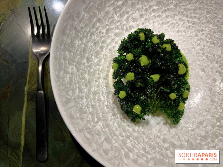 Mantra - Chou rave, kale, coco fermentée, crevettes