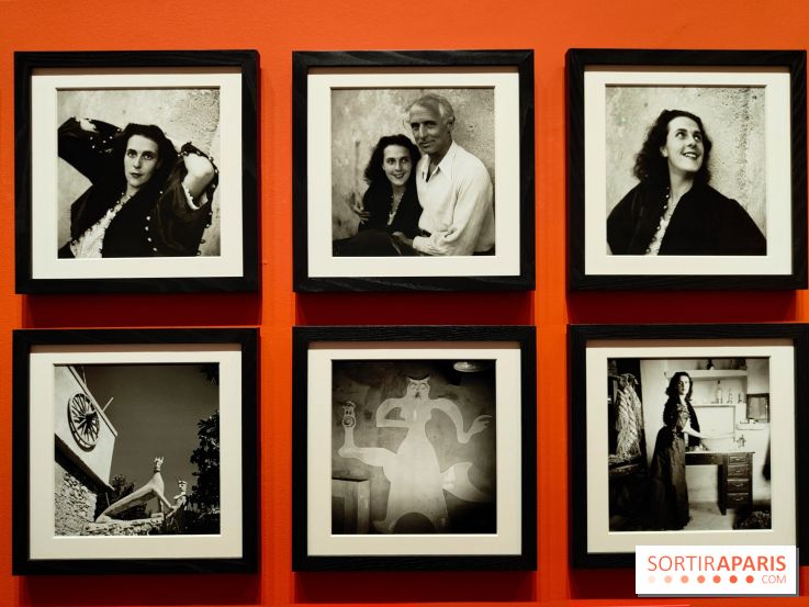 Leonora Carrington, l'exposition onirique d'une artiste surréaliste au musée du Luxembourg, photos - fotor 1771255843588