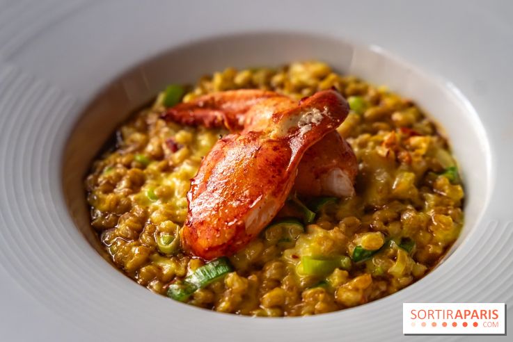 Les 110 de Taillevent, le restaurant traditionnel en accords mets et vins - photo - risotto au homard