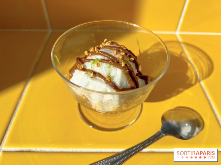 Tout Day - Ile flottante ail noir