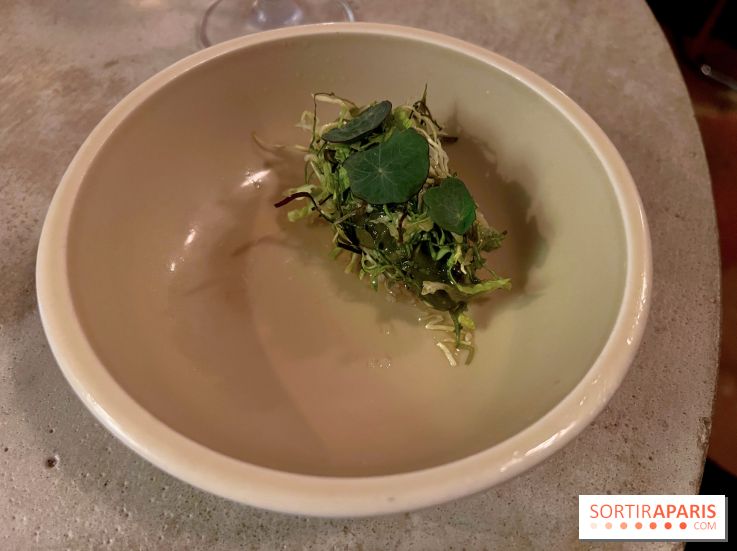 Vivide - Sorbet aux herbes 