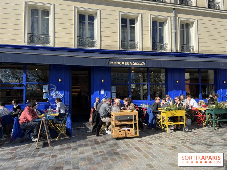 Moncœur Belleville - Terrasse vue Paris