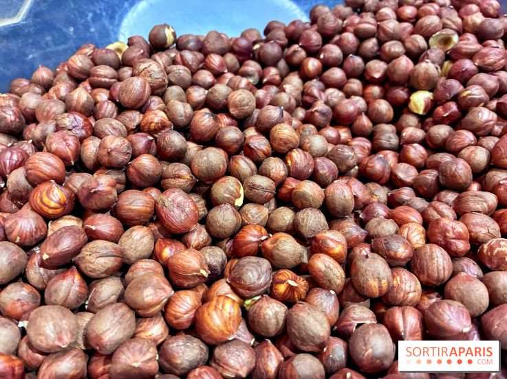 Atelier rocher praliné Edwart Chocolatier - IMG 3883