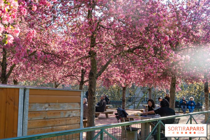 Les pommiers et cerisiers en fleurs du Jardin de Reuilly, Parc de Reuilly à Paris 12e - photos - jouer