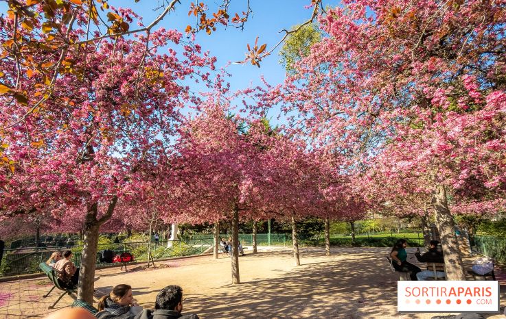 Les pommiers et cerisiers en fleurs du Jardin de Reuilly, Parc de Reuilly à Paris 12e - photos - bosquet