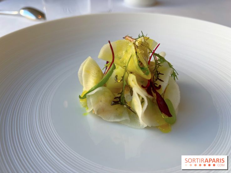 Alliance - Tourteau en fine raviole de radis, mayonnaise maison, huile curry, pomme verte 