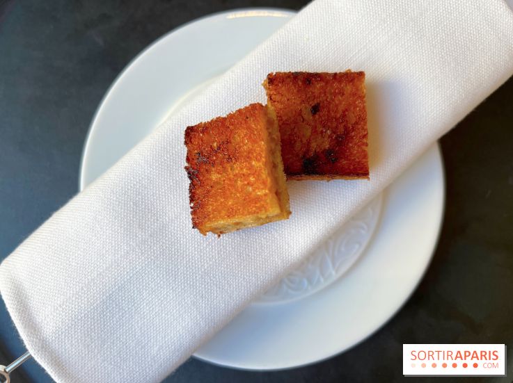 Alliance - Croque aux barbes de Saint-Jacques