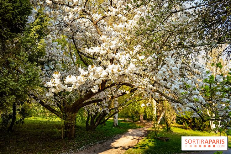 Le jardin botanique de Launay et arboretum de l'Université Paris Saclay à Orsay - les photos