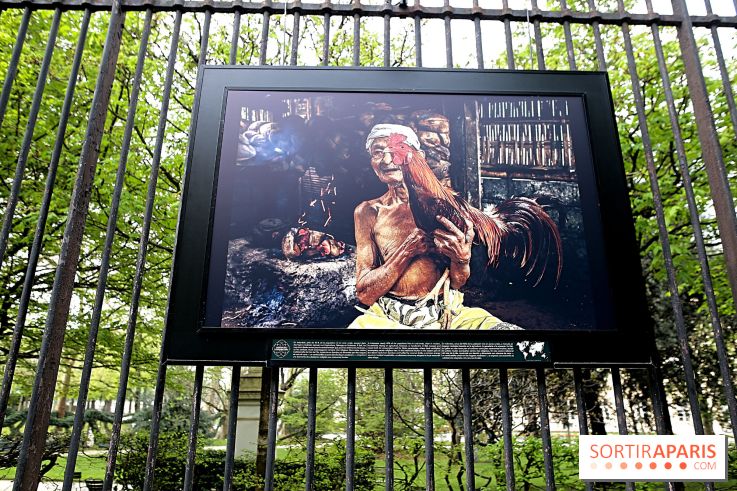 Fragilités & Résiliences, nos photos de l'expo dévoilée sur les grilles du Jardin du Luxembourg