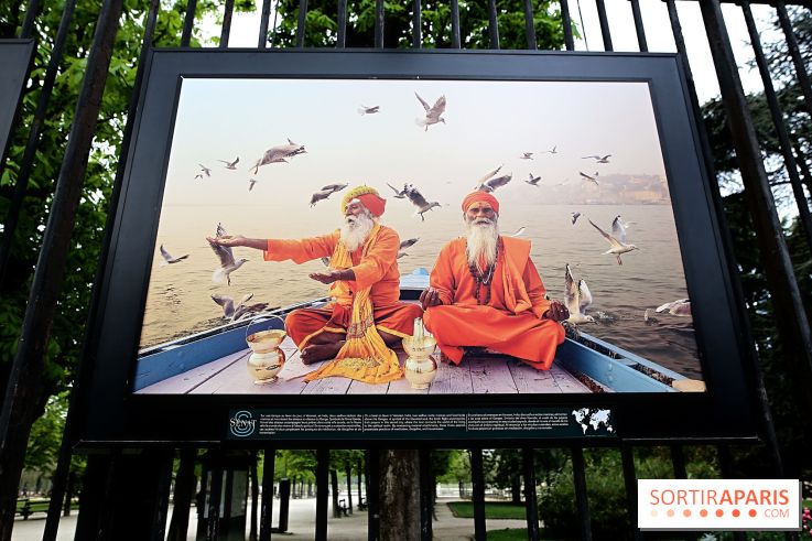 Fragilités & Résiliences, nos photos de l'expo dévoilée sur les grilles du Jardin du Luxembourg