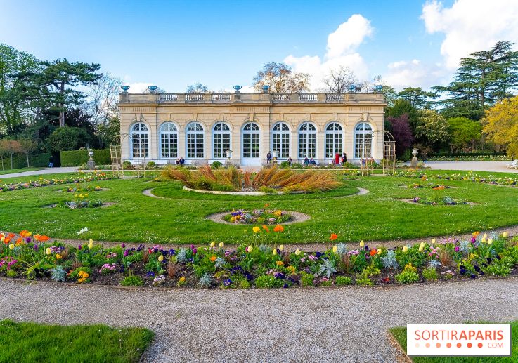 Le Parc de Bagatelle au printemps, cerisier, tulipes et jonquilles - photos