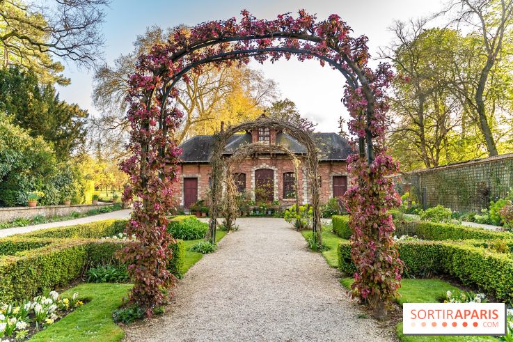 Le Parc de Bagatelle au printemps, cerisier, tulipes et jonquilles - photos