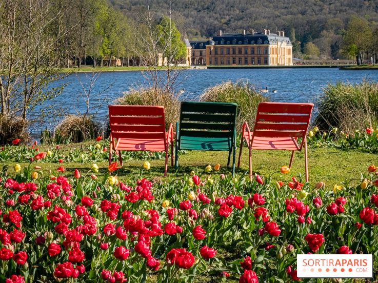 Les tulipes du Château de Dampierre, son jardin anglais et le jardin Le Nôtre
