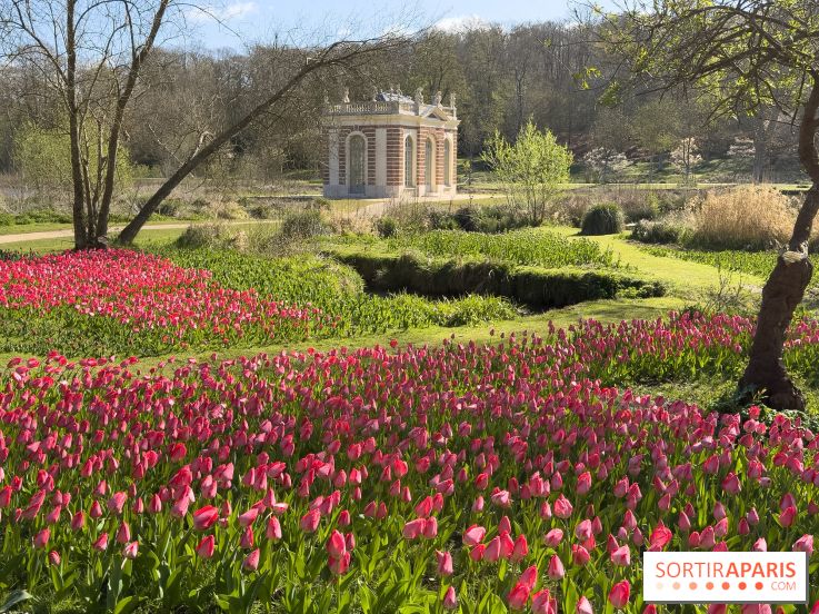Les tulipes du Château de Dampierre, son jardin anglais et le jardin Le Nôtre