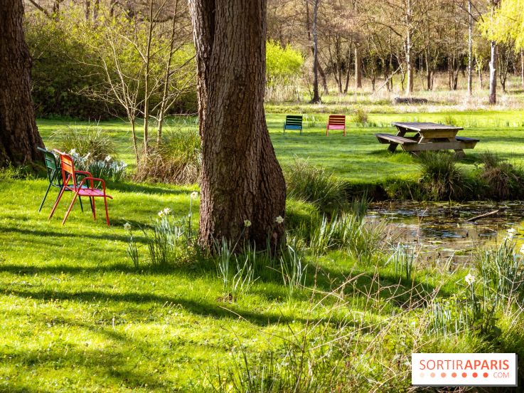 Les tulipes du Château de Dampierre, son jardin anglais et le jardin Le Nôtre