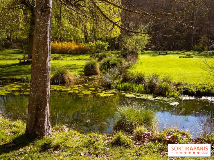 Les tulipes du Château de Dampierre, son jardin anglais et le jardin Le Nôtre - IMG 2953