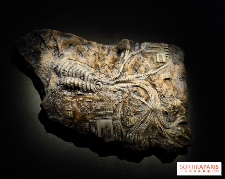 Les Extatiques souterrains : un parcours artistique introspectif sous la Grande arche de La Défense - fotor 1775122120427