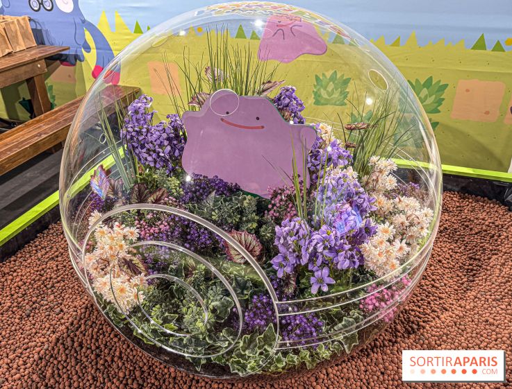 Pokémon Pokopia : un espace détente gratuit pour vous immerger dans le jeu aux Ateliers Gaîté - IMG 5806