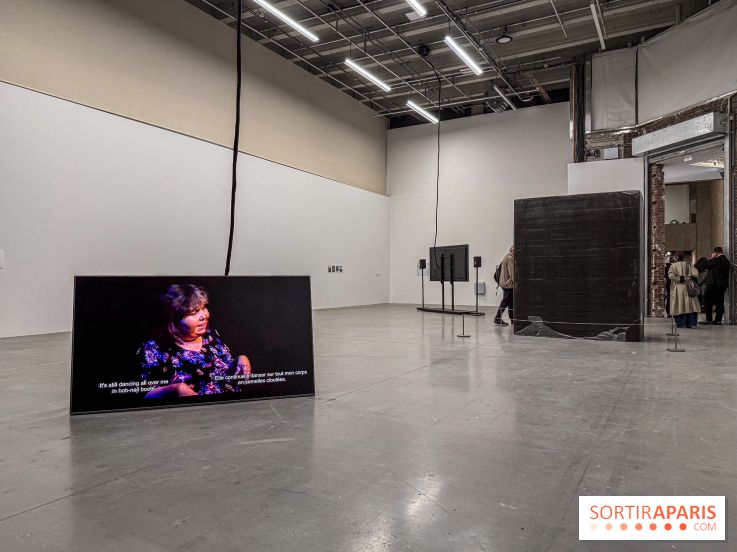 Au Palais de Tokyo, Cheryl Marie Wade explore la culture crip et la poésie engagée - IMG 5955